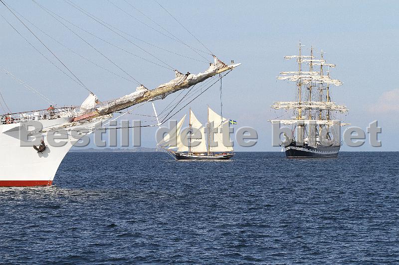 TSR2011_2 207.JPG